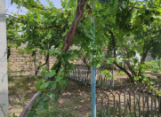 Satılır 2 otaqlı 69.2 m2 bağ evi Nardaran