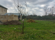 Satılır 2 sot torpaq Lənkəran