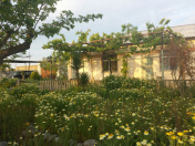 Satılır 24 sot torpaq Bilgəh