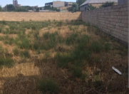 Satılır 12 sot torpaq Binə