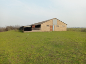 Satılır 200 sot torpaq Masallı