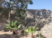 Satılır 8 sot torpaq Mərdəkan