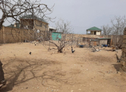 Satılır 6 sot torpaq Novxanı