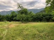 Satılır 20 sot torpaq Qəbələ