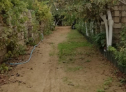 Satılır 4 otaqlı 88 m2 həyət evi Bilgəh