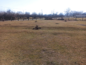 Satılır 10000 sot torpaq Qəbələ