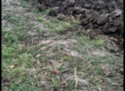 Satılır 1 sot torpaq Xaçmaz