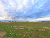 Satılır 325 sot torpaq Novxanı