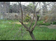 Satılır 9.5 sot torpaq Rəsulzadə