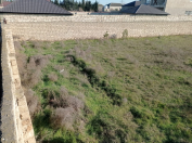 Satılır 12 sot torpaq Buzovna