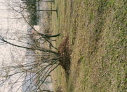 Satılır 3 sot torpaq Qax