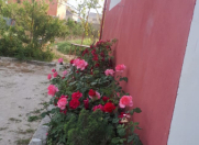 Satılır 4 otaqlı 200 m2 həyət evi Qala