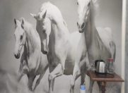 Satılır 2 otaqlı 60 m2 köhnə tikili Bakıxanov