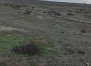 Satılır 550 sot torpaq Zığ