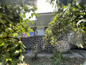 Satılır 3 otaqlı 75 m2 bağ evi Qax