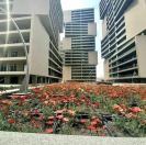 İcarəyə verilir 2 otaqlı 70 m2 yeni tikili 20 yanvar m.