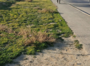 Satılır 3.8 sot torpaq Masazır