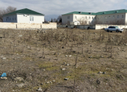 Satılır 8 sot torpaq Şəki