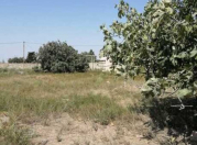 Satılır 25 sot torpaq Kürdəxanı