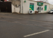 Satılır 5 otaqlı 200 m2 həyət evi Əmircan