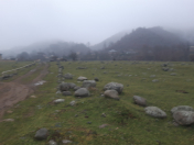 Satılır 100 sot torpaq Lənkəran