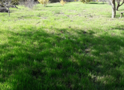 Satılır 5 otaqlı 144 m2 bağ evi Saray