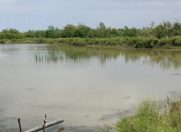 Satılır 3 otaqlı 50000 m2 obyekt Samux