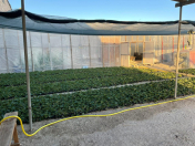 Satılır 1 otaqlı 10000 m2 obyekt Ramana