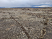 Satılır 1100 sot torpaq Qobustan