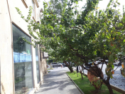 İcarəyə verilir 3 otaqlı 80 m2 ofis İçəri Şəhər m.