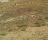 Satılır 2 sot torpaq Mehdiabad