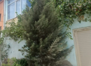 Satılır 11 otaqlı 336 m2 həyət evi Bakıxanov