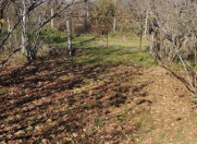 Satılır 23 sot torpaq Xudat