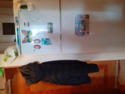 İcarəyə verilir 3 otaqlı 50 m2 köhnə tikili Montin