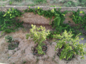 Satılır 3 otaqlı 160 m2 bağ evi Novxanı