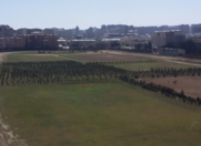 İcarəyə verilir 2 otaqlı 80 m2 yeni tikili Nərimanov r.