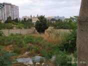 Satılır 9.6 sot torpaq Badamdar