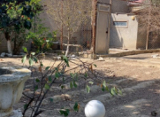 Satılır 8 sot torpaq Badamdar