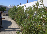 Satılır 1.2 sot torpaq 8 km