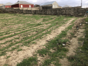 Satılır 10 sot torpaq Məhəmmədli