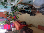 Satılır 2 otaqlı 68 m2 köhnə tikili Bayıl