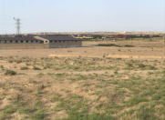 Satılır 45.6 sot torpaq Məhəmmədli