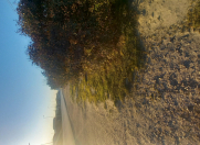 Satılır 1 otaqlı 150 m2 həyət evi Maştağa