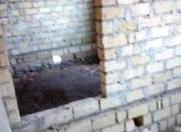 Satılır 3 otaqlı 3 m2 həyət evi Samux