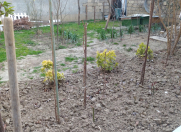 Satılır 8 otaqlı 200 m2 həyət evi Sulutəpə