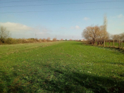 Satılır 5000 sot torpaq Şabran