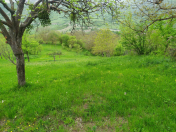 Satılır 22 sot torpaq Quba