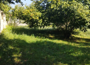 Satılır 7 sot torpaq Qəbələ