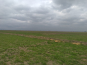 Satılır 500 sot torpaq Kürdəmir