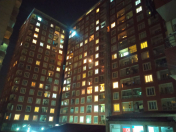 İcarəyə verilir 2 otaqlı 53 m2 yeni tikili 9 mkr